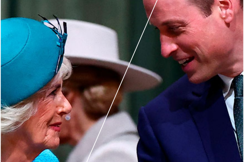 ÚLTIMA HORA: Guillermo asume como regente y aparta a los hijos de Camilla