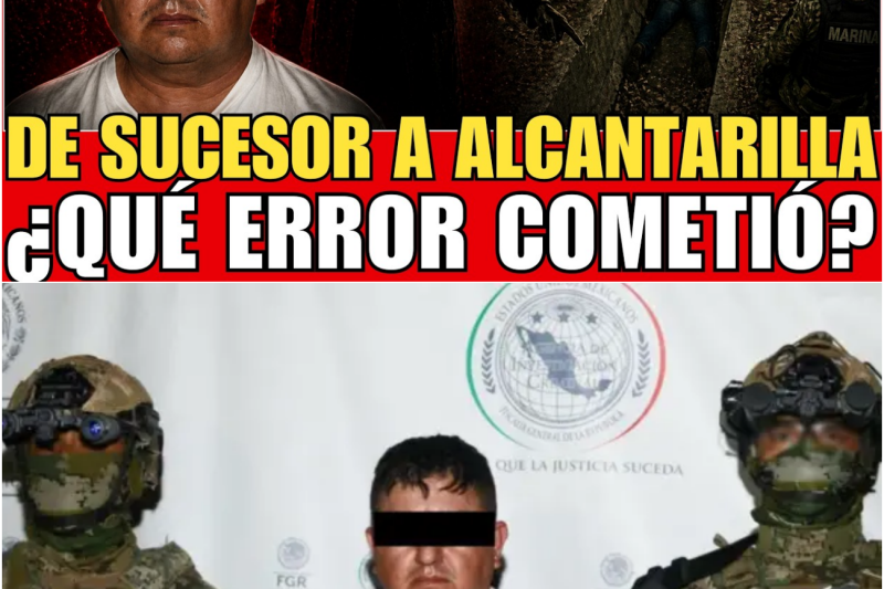 La Traición Perfecta: Cómo el CJNG Utilizó al Estado para Eliminar a “El Jardinero” y Coronar a su Nuevo Rey