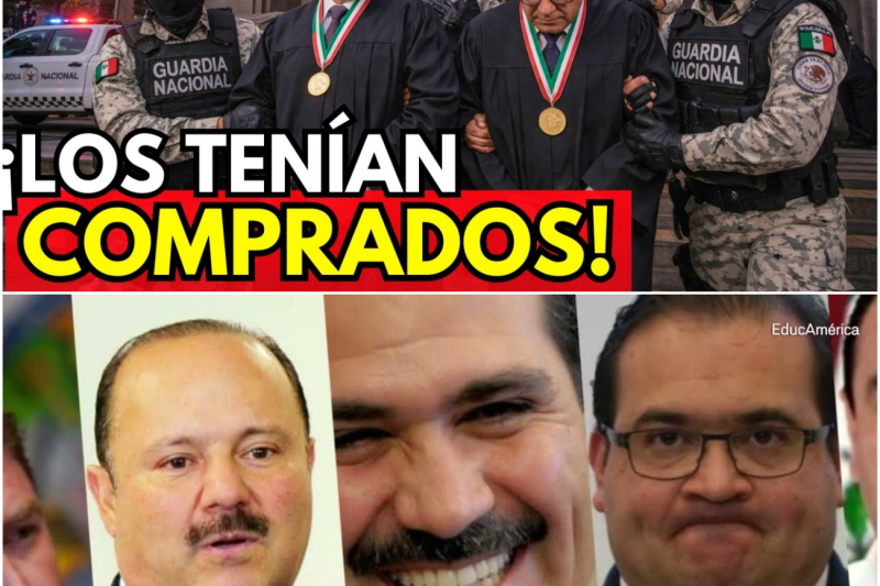 Justicia bajo nómina: La caída de la red de jueces y magistrados que convirtieron los juzgados en el “seguro de vida” del narcotráfico