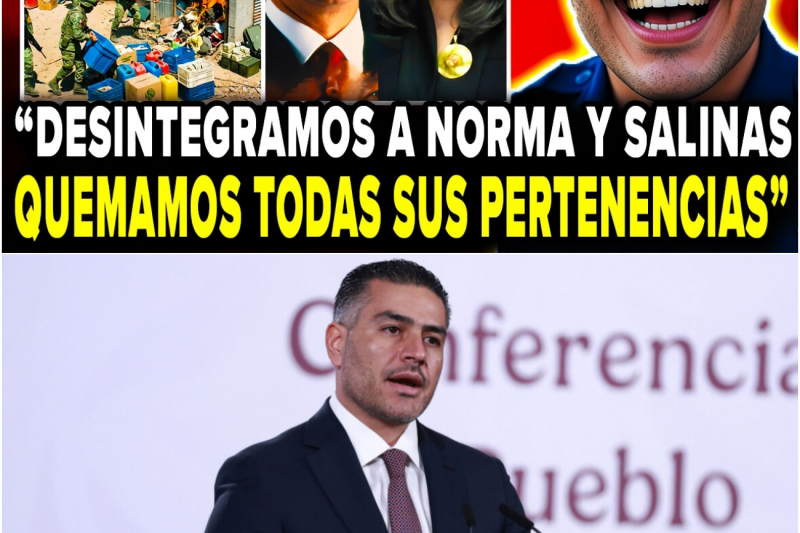 Cae la “Caja Negra” de la Corrupción: Decomisan 320 Millones de Dólares y Revelan Nexos entre la Cúpula Judicial, la Élite Política y el Crimen Organizado