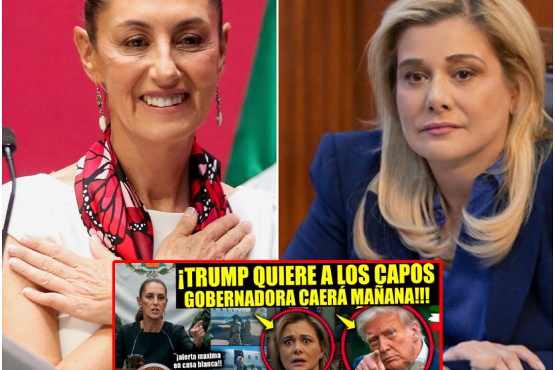 Soberanía en Vilo y Golpes Históricos al Crimen: El Tablero Político que Sacude a México en 2026