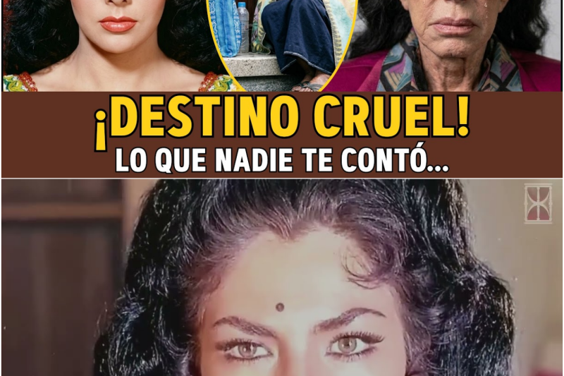 Irma Serrano: De HUMILLAR al Presidente a quedar SIN NADA… Y El Sucio Engaño de Jóvenes VIVIDORES