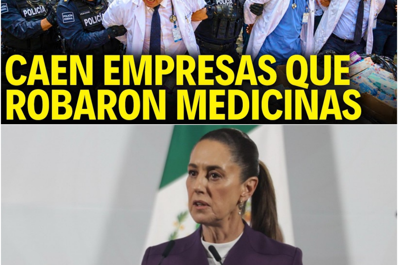 El cártel de las medicinas: La red de corrupción que jugó con la vida de los pacientes en México y provocó una purga histórica en Birmex