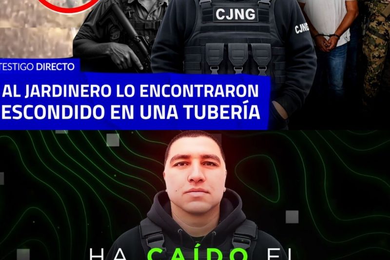 El ocaso de un imperio: La caída de “El Jardinero” y la violenta fractura del Cártel Jalisco Nueva Generación