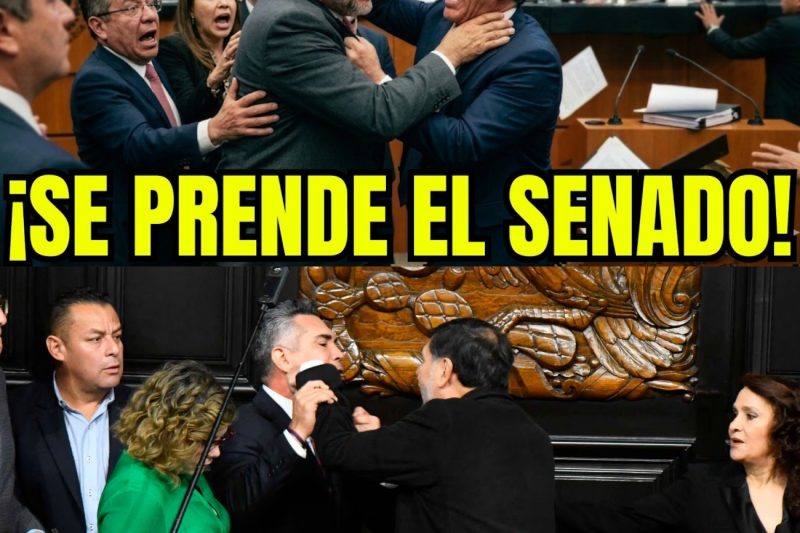 ¡A MÍ NO ME GRITES! El histórico enfrentamiento en el Senado donde Noroña hizo temblar a Alito Moreno: “No te tengo miedo”