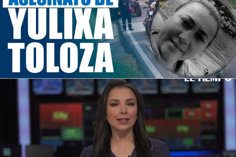 Yulixa Toloza was murdered: her body was found in Apulo and suspects were captured in Venezuela NH