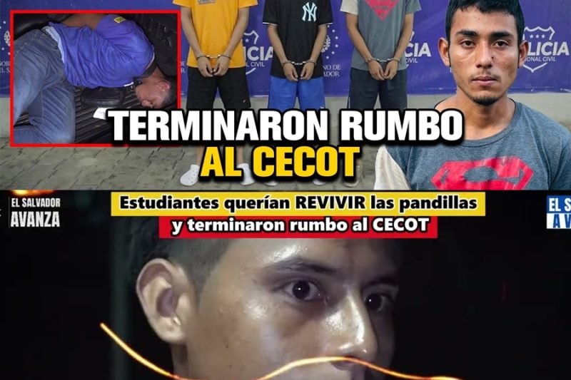 Frenazo en Seco: Capturan a Estudiantes que Pretendían Reorganizar Pandillas y Sembrar el Terror en El Salvador