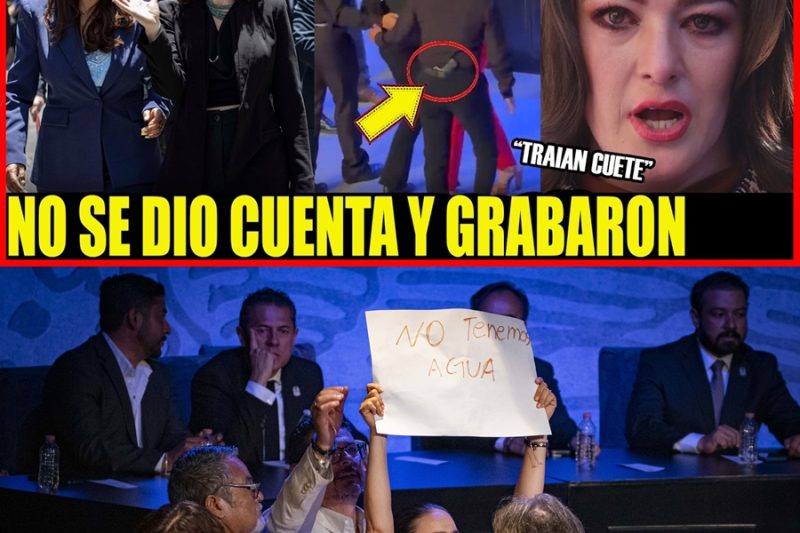 Bajo Amenaza: La Regidora Marta Márquez Teme por su Vida tras Exponer Fraudes y Falta de Agua frente a Tere Jiménez e Isabel Díaz Ayuso