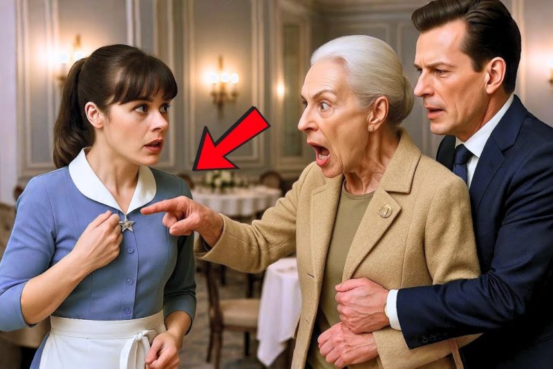 ESE BROCHE ES DE MI HIJA — DIJO LA MILLONARIA… Y LO QUE DESCUBRIÓ DEJÓ A TODOS EN SHOCK