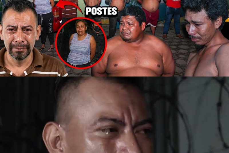 Lágrimas que no perdonan: Capturan a cinco “postes” de la MS-13 que vivían del terror y la extorsión en El Salvador