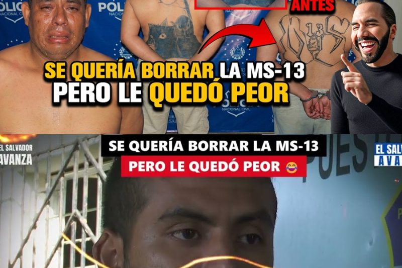 El Ocaso de un “Intocable”: Cómo el Miedo y un Tatuaje Mal Borrado Sentenciaron a Alias “Barril” en los Cerros de Comasagua