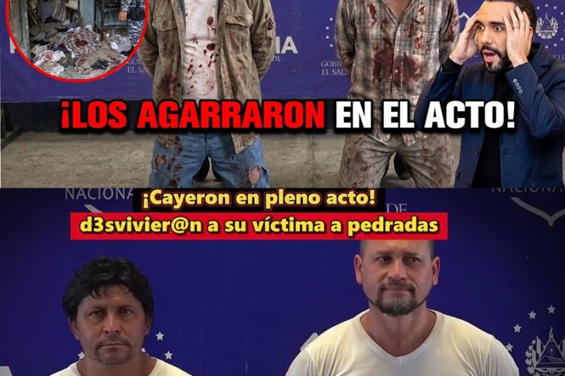 De los Tragos a la Barbarie: El Sangriento Crimen en San Jacinto que Terminó con la Captura de Alias “Jerry” y “Jaiba”