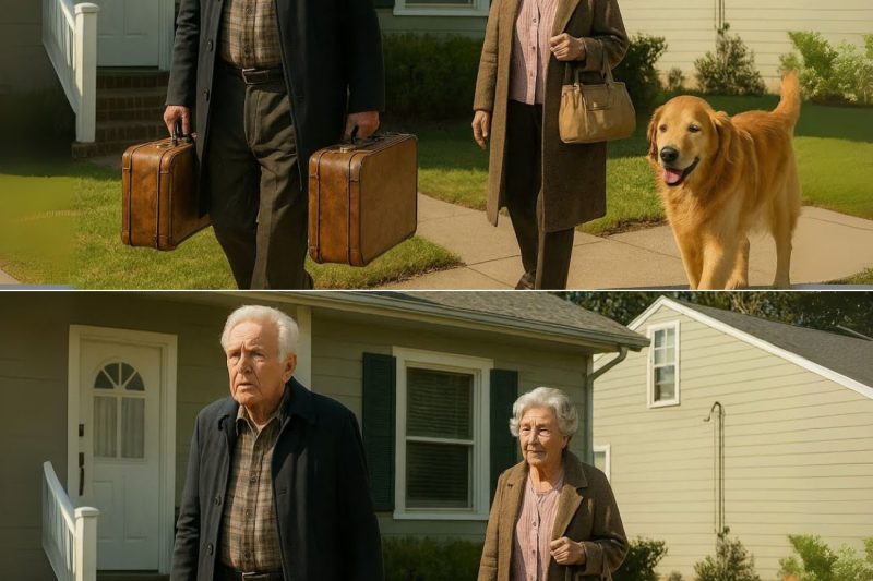 LOS ABUELOS ESCAPARON DE LA CASA FAMILIAR A MEDIANOCHE… AL ESCUCHAR EL PLAN SINIESTRO DE LA NUERA