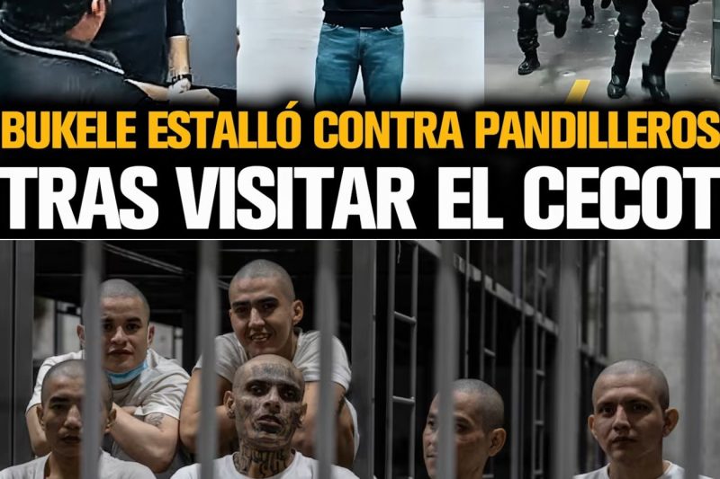 Bukele consolida el control total en el CECOT: El Salvador erradica los privilegios penitenciarios y blinda la seguridad nacional