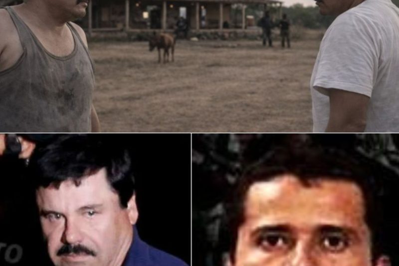 El día que El Chapo y El Mencho se enfrentaron y lo que sucedió nadie lo sabe