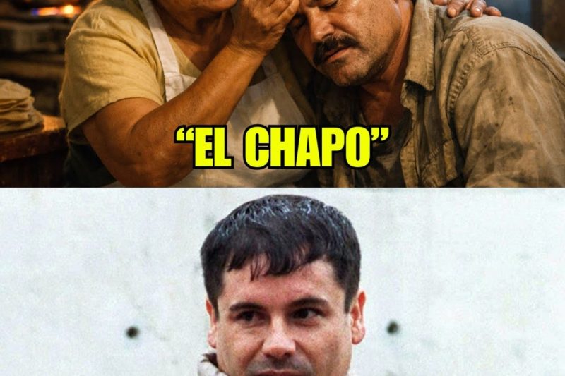Una cocinera pobre ayudó a El Chapo Guzmán sin saber quién era… años después lo entendió todo
