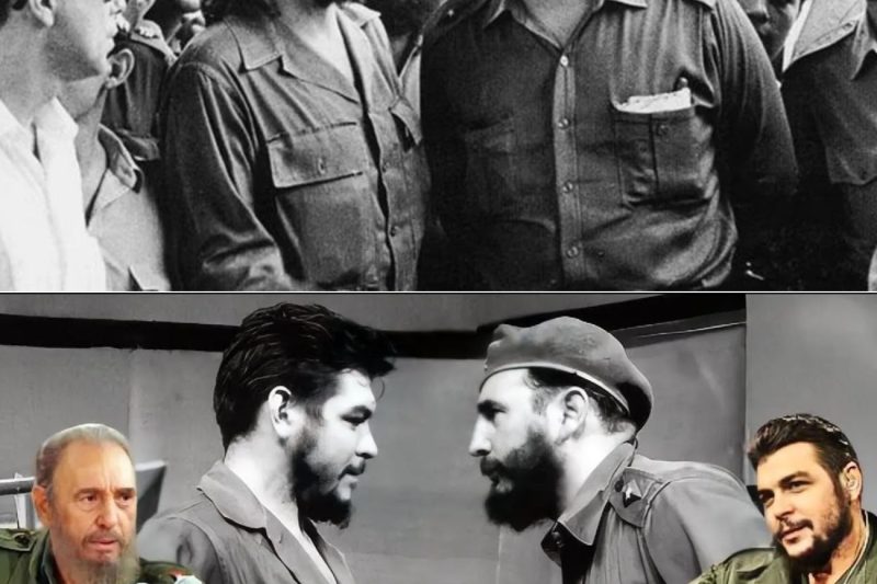 ¿FIDEL CASTRO TRAICIONÓ AL CHE? — La Conspiración Que Cuba Ocultó 50 Años