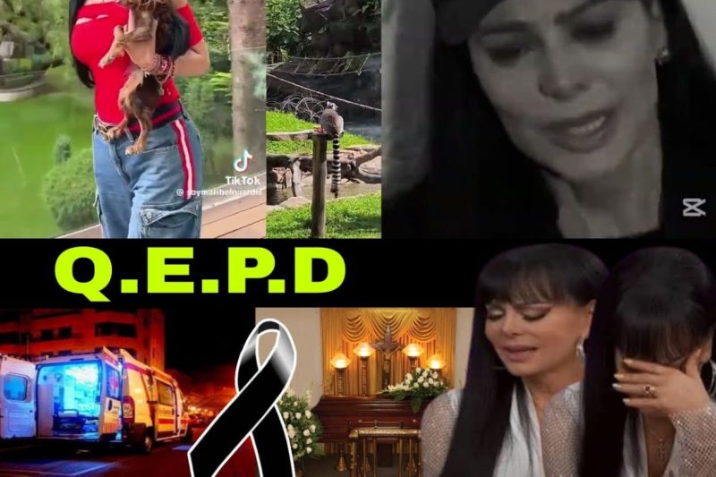 Luto y misterio en la televisión: El desgarrador adiós a Gustavo Angarita, la impactante decisión de Maribel Guardia y el milagro de Anahí Allué