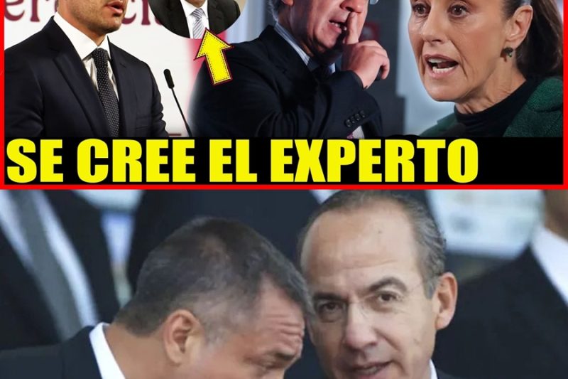 Soberanía en acción: El gabinete de seguridad asesta golpe millonario al narcotráfico mientras Sheinbaum exhibe el pasado de Calderón