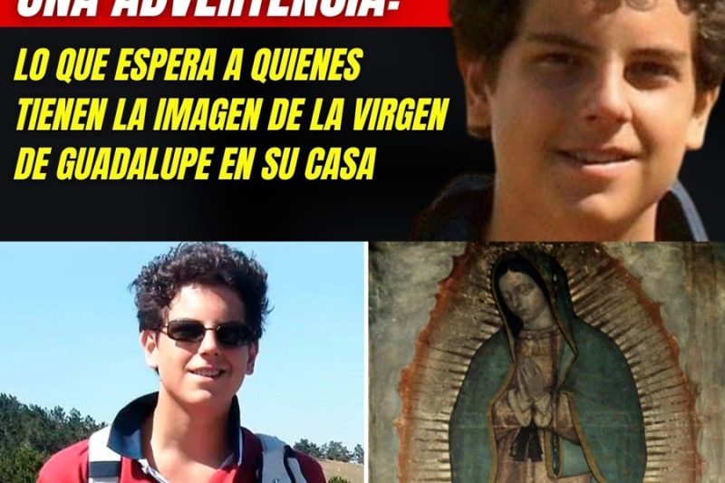 CARLO ACUTIS LANZA ADVERTENCIA: QUE ESPERA A QUIENES TIENEN IMAGEN DE VIRGEN DE GUADALUPE EN SU CASA