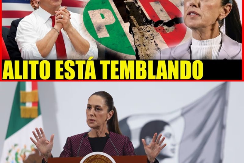 Pánico en la oposición: Avanza ley exprés de nulidad por intervención extranjera y Claudia Sheinbaum frena en seco los reclamos de Alito Moreno