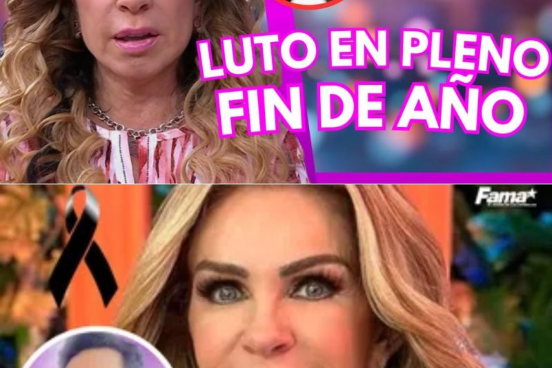 Luto en la televisión mexicana: El desgarrador adiós de Rocío Sánchez Azuara a Verónica Cantú