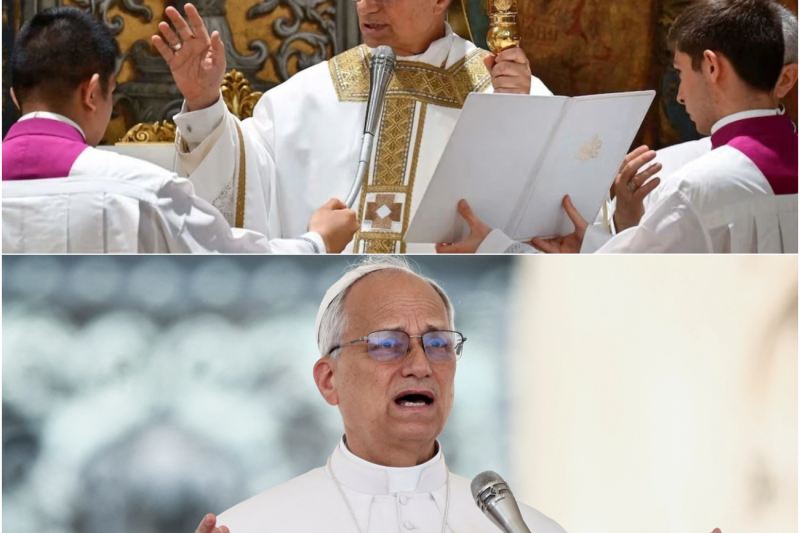El Papa León XIV Estremece al Mundo: Destituye a Cardenales de Alto Rango y Destapa Décadas de Corrupción en una Histórica Audiencia General