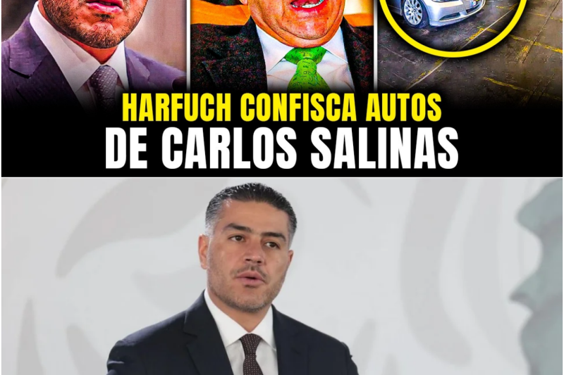 HARFUCH CONFISCA 87 AUTOS de SALINAS y DESVELA lo que ENCONTRARON en el MALETERO