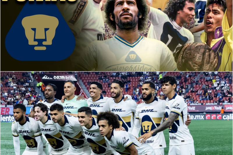 ESPECIAL 40 años de los PUMAS 🐾