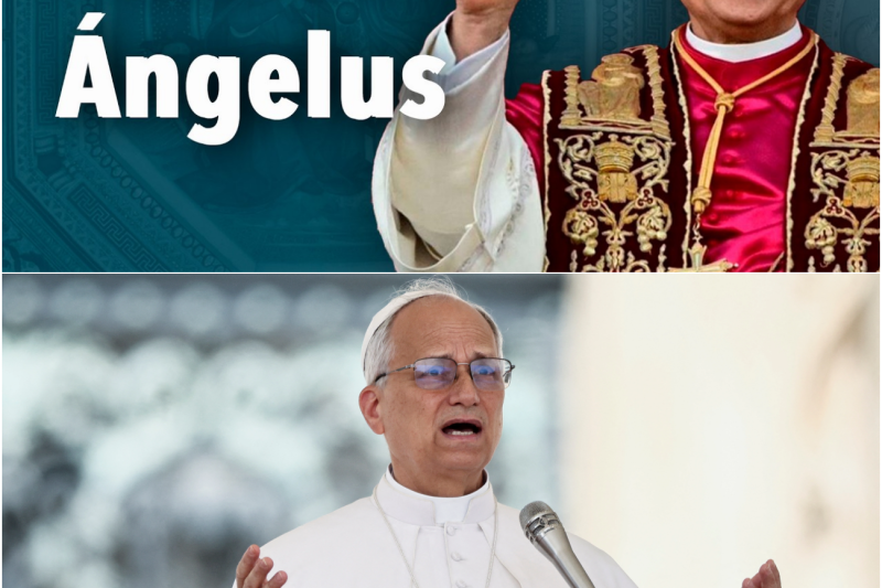 El Papa León XIV emite una severa advertencia a los líderes mundiales y clama por el fin de la polarización global durante el Ángelus