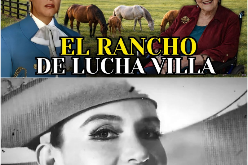 Casi 90 años y ASI es la Vida de Lucha villa En su Rancho | Fortuna, Tragedias, Amores
