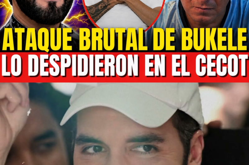 ¡FILTRADO! LO QUE HIZO BUKELE MIENTRAS LA FAMILIA DE LIN ESTABA DE LUTO EN EL FUNERAL