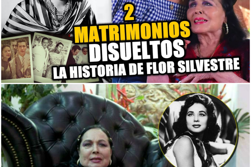 Los Secretos Ocultos de Flor Silvestre: Amores Prohibidos, la Venganza de Paco Malgesto y la Verdad sobre su Testamento en la Dinastía Aguilar