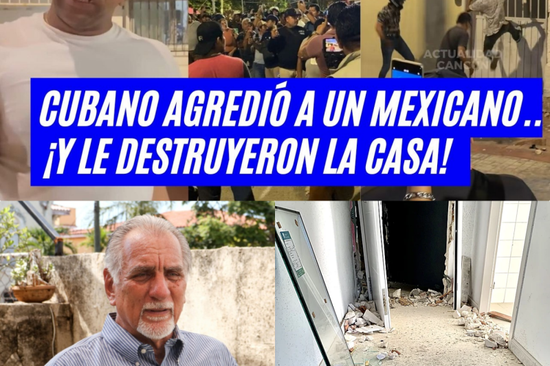 El Efecto Dominó de la Furia: Cómo la Mordedura de un Perro Desató una Batalla Campal y Expuso la Fragilidad Social en Cancún