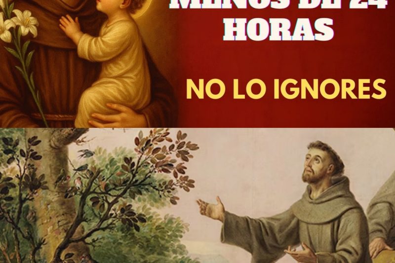 MILAGROS EN MENOS DE 24 HORAS TE ESPERAN… NO LO IGNORES… SAN ANTONIO DE PADUA