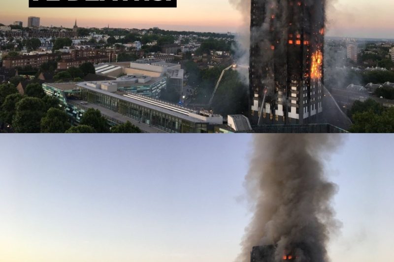 Las Cenizas de la Avaricia: El Escándalo de la Torre Grenfell NH
