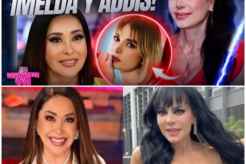 ¡Estalla la Bomba! Maribel Guardia Rompe el Silencio y Despedaza a Addis Tuñón en un Escándalo de Herencias y Traiciones