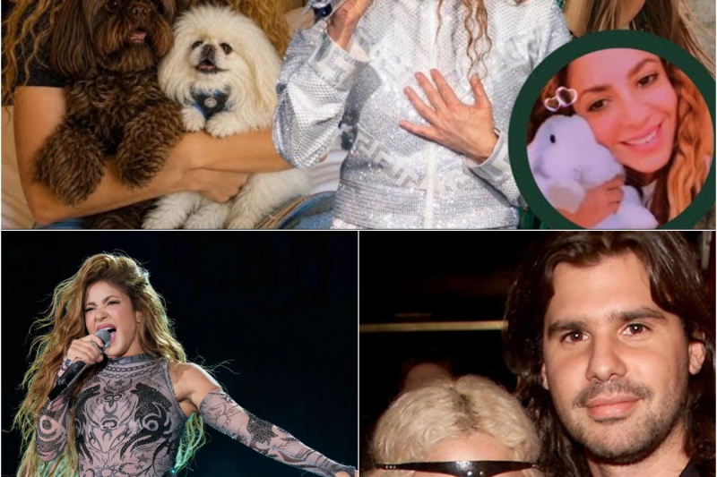 El renacer imparable de Shakira: El destino de sus mascotas tras las separaciones, la promesa que cambió la vida de un músico folclórico y el éxito arrollador de su nuevo hit mundial