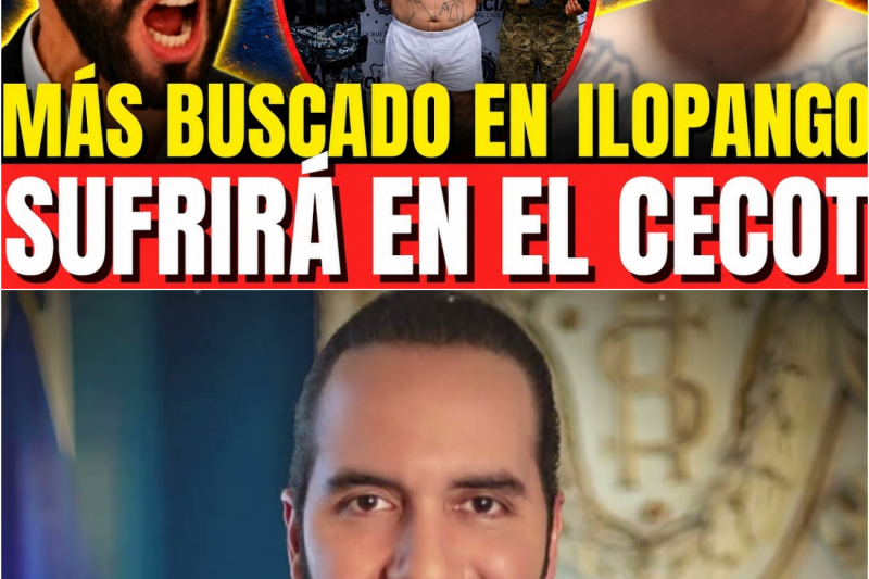 La Puerta Trasera Clausurada: Edwin Alejandro Castro Hernández, alias Street Boy, es Capturado al Intentar Burlar los Controles Migratorios de El Salvador