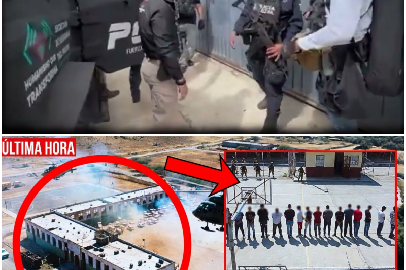 SINALOA COLAPSA: EJÉRCITO DESCUBRE ESCUELA ABANDONADA DEL CJNG: SALONES ERAN DORMITORIOS Y MAPAS