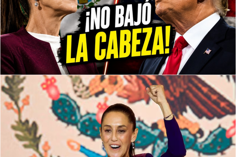 ¡SIN RODEOS! Sheinbaum RESPONDE a Trump sobre Sinaloa y Desata incomodidades en EE.UU.