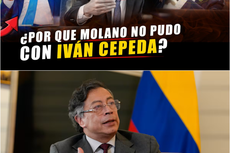 🚨CEPEDA SE PARÓ DURO CONTRA MOLANA, PETRO NO DUDÓ EN APOYARLO Y DESTRUIR A DUQUE
