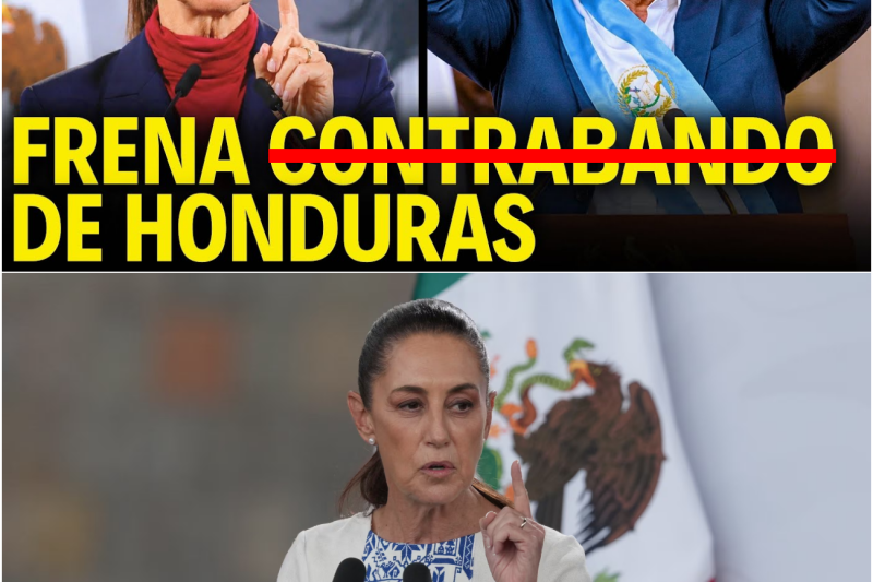 México sella sus fronteras ante un masivo sabotaje comercial y salva al campo nacional de la ruina