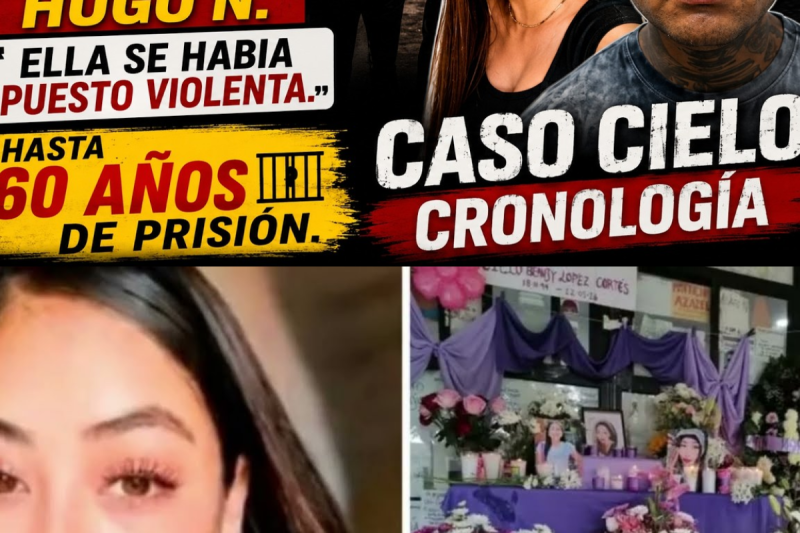 Las declaraciones de hugo N. la ases¡ne por que se habia puesto v¡olenta