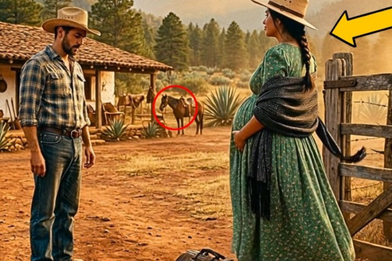 Embarazada y sin nadie, fue al rancho del único hombre que la amó, pero lo que él guardaba…