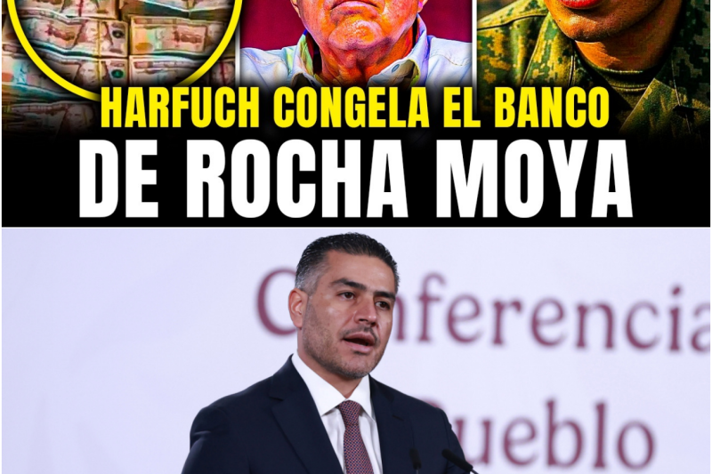 HARFUCH CATEA el BANCO de ROCHA MOYA y le CONGELAN TODAS sus CUENTAS