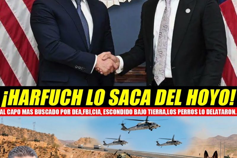 La Caída del “Jardinero”: El Golpe Maestro de México que Resuena en Washington