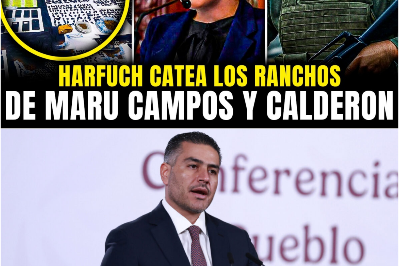 HARFUCH CATEA 9 RANCHOS de CALDERÓN y MARU CAMPOS: FUSIÓN DEL ESCÁNDALO MÁS GRANDE DEL PAN