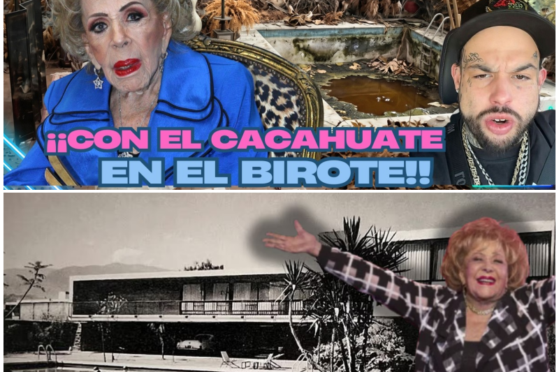El Ocaso de Dos Dinastías: La Mansión de Silvia Pinal en Ruinas y los Oscuros Secretos de la Familia Aguilar