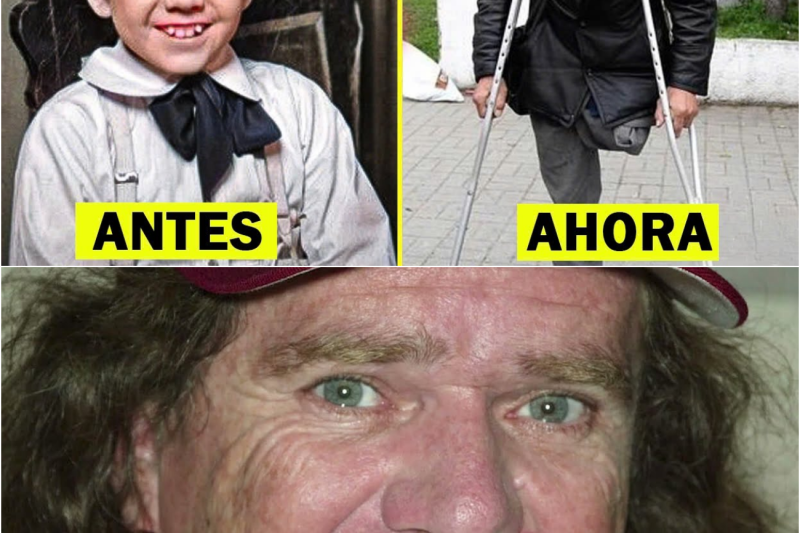 El Paso del Tiempo en Ciudad de los Monstruos: Así Lucen (y qué fue de) las Estrellas de Los Munsters en 2025